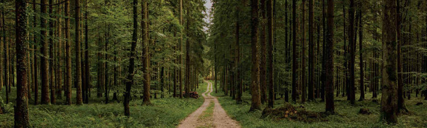 project_overview_img